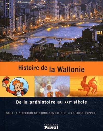 Beispielbild fr Histoire De La Wallonie : De La Prhistoire Au Xxie Sicle zum Verkauf von RECYCLIVRE