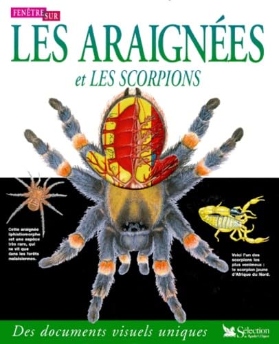 Stock image for LES ARAIGNEES ET LES SCORPIONS for sale by Librairie La cabane aux bouquins