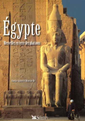 Beispielbild fr gypte, merveilles en terre des pharaons zum Verkauf von Ammareal