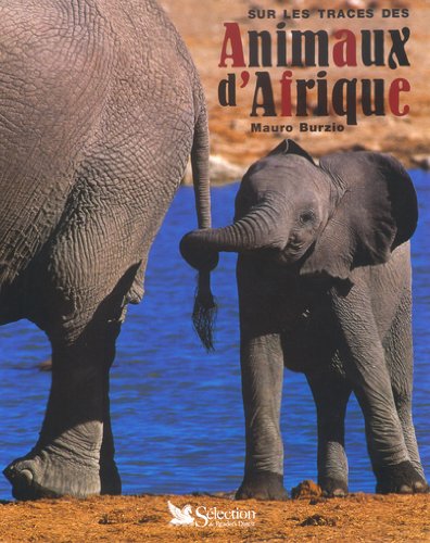 Imagen de archivo de Sur traces des animaux afrique a la venta por medimops