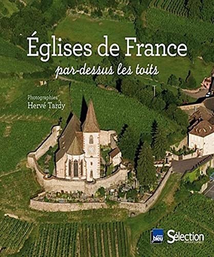Stock image for Eglises de France par-dessus les toits for sale by Ammareal