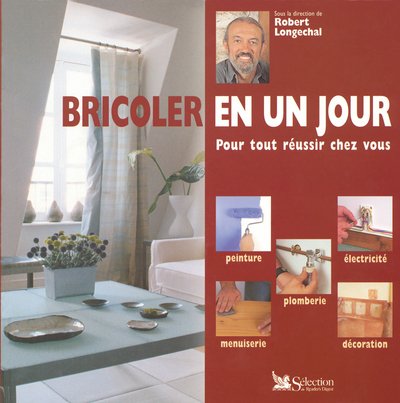 Imagen de archivo de Bricoler en un jour : Pour tout russir chez vous a la venta por Ammareal