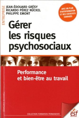 Beispielbild fr Grer les risques psychosociaux : Performance et bien-tre au travail zum Verkauf von medimops