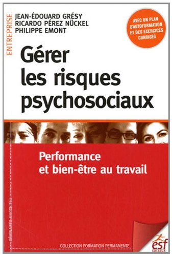 9782710122852: Grer les risques psychosociaux: Performance et bien-tre au travail (Formation permanente)