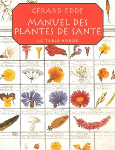 Beispielbild fr Manuel des plantes de sante (selon les traditions du monde enti zum Verkauf von medimops