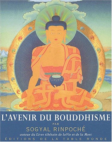 Imagen de archivo de L'Avenir du bouddhisme a la venta por Librairie Th  la page