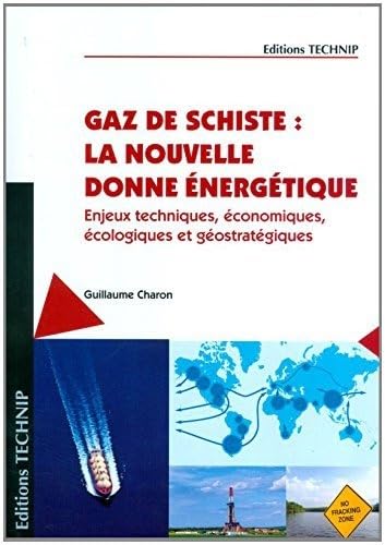 9782710811466: Gaz de schiste : la nouvelle donne nergtique: Enjeux techniques, conomiques, cologiques et gostratgiques