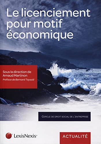 Stock image for Le licenciement pour motif conomique: Quelles dynamiques ? for sale by Ammareal
