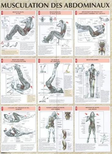 Beispielbild fr Musculation des abdominaux planche plastifie (0000) zum Verkauf von Gallix