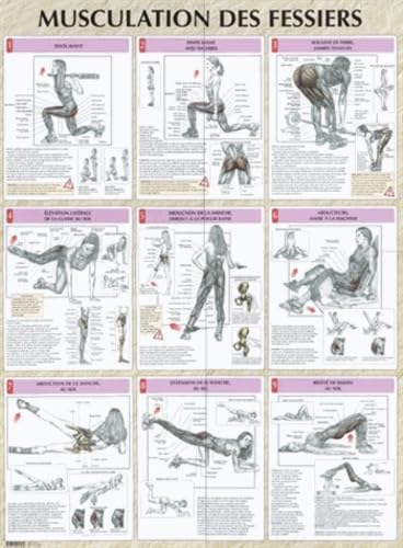 9782711417469: Musculation des fessiers planche plastifie (0000)