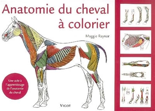 9782711418817: Anatomie du cheval  colorier: Une aide  l'apprentissage de l'anatomie du cheval