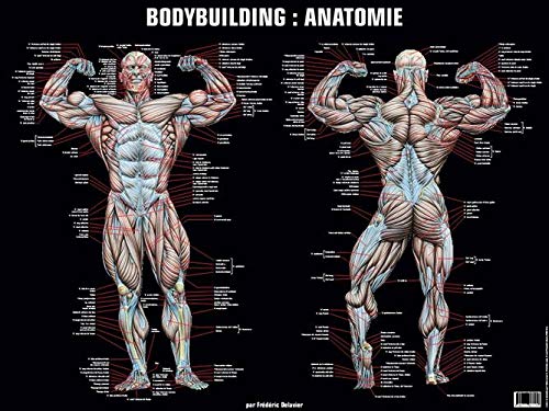 9782711421176: Poster bodybuilding anatomie: 0000