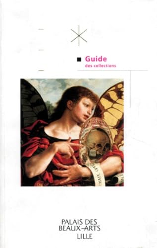 9782711835164: Guide des collections: Palais des beaux-arts Lille