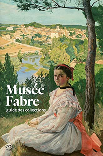 Beispielbild fr GUIDE MUSEE FABRE (NOUVELLE EDITION) zum Verkauf von Gallix
