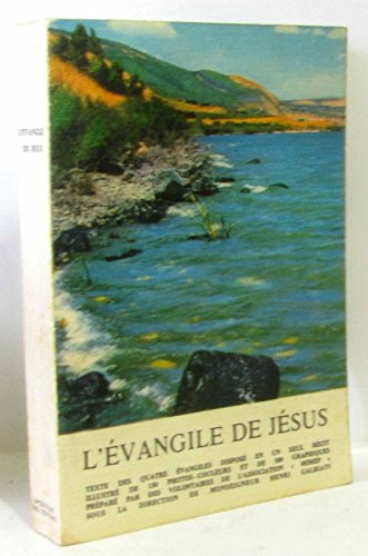 Imagen de archivo de L'Evangile de Jsus; texte des quatres vangiles dispos en un seul rcit illustr. a la venta por AUSONE