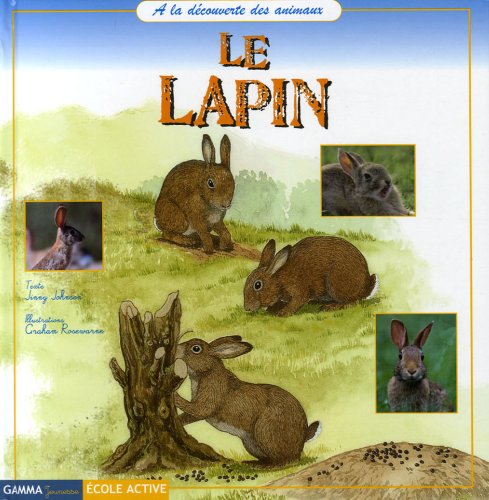 Stock image for Le lapin for sale by Ammareal