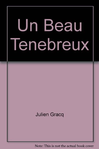 9782714301116: UN BEAU TENEBREUX