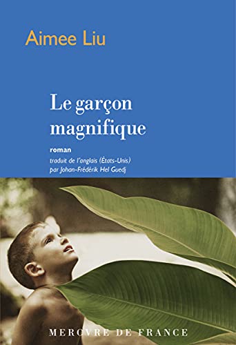 Beispielbild fr Le garon magnifique zum Verkauf von Ammareal