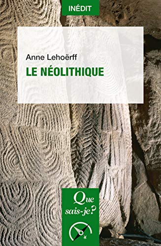 Stock image for Le Nolithique for sale by RECYCLIVRE