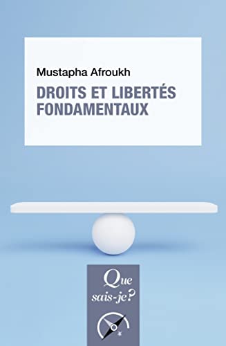Stock image for Droits et liberts fondamentaux for sale by medimops