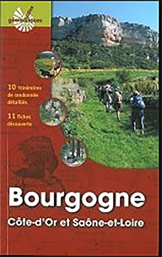 Beispielbild fr Bourgogne zum Verkauf von Ammareal