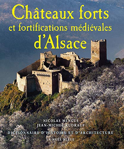 9782716508285: Chteaux forts et fortifications mdivales d'Alsace: Dictionnaire d'histoire et d'architecture