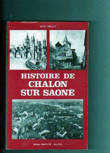 Imagen de archivo de Histoire de Chalon-sur-Sane (Histoires des villes de France) a la venta por LeLivreVert