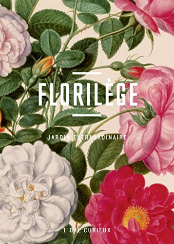 Stock image for Florilge, jardin extraordinaire for sale by Ammareal