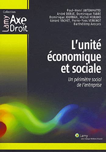 Imagen de archivo de L'unit conomique et sociale: Un primtre social de l'entreprise a la venta por Ammareal