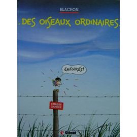 Beispielbild fr Des oiseaux ordinaires, tome 1 zum Verkauf von Ammareal