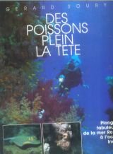 Beispielbild fr Des poissons pleins la tte Plonges fabuleuses de la mer Rouge  l'ocan indien zum Verkauf von Librairie Th  la page