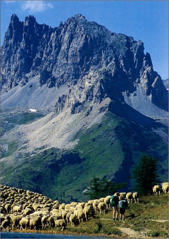 9782723438278: Autour du Mont Thabor, les sentiers des toiles