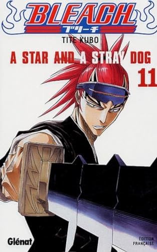 Bleach Vol.11 : A star and a stray dog