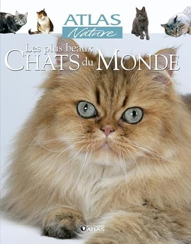 9782723456937: Les plus beaux Chats du Monde