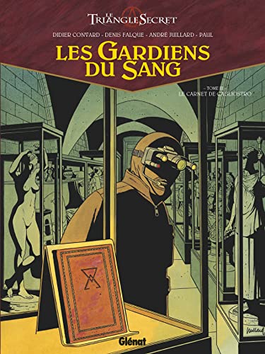 Imagen de archivo de Les Gardiens Du Sang : Le Triangle Secret. Vol. 3. Le Carnet De Cagliostro a la venta por RECYCLIVRE