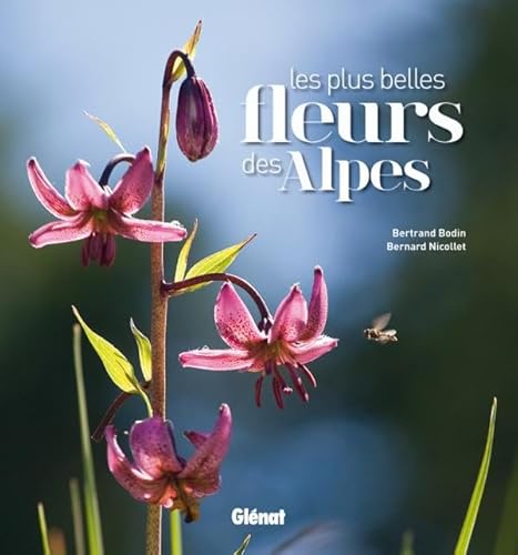 Beispielbild fr Les plus belles fleurs des Alpes zum Verkauf von medimops