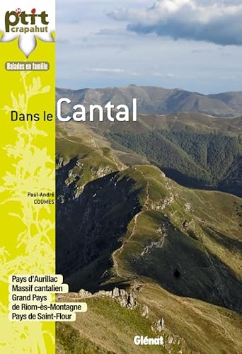 Stock image for Dans Le Cantal : Pays D'aurillac, Massif Cantalien, Grand Pays De Riom-s-montagne, Pays De Saint-fl for sale by RECYCLIVRE