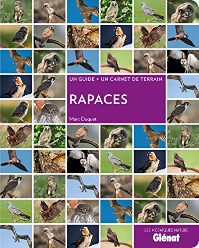 Beispielbild fr rapaces zum Verkauf von Chapitre.com : livres et presse ancienne