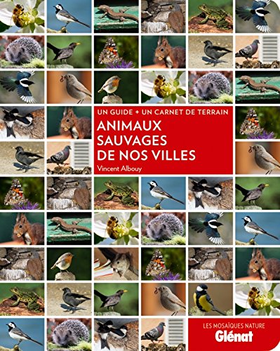 Beispielbild fr Animaux sauvages de nos villes zum Verkauf von Ammareal