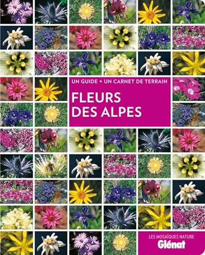 Imagen de archivo de Fleurs des Alpes a la venta por Librairie Th  la page