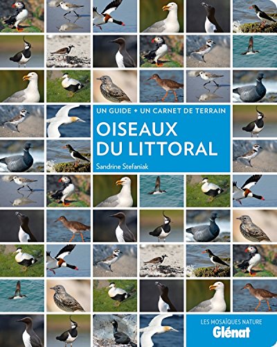 Beispielbild fr Oiseaux du littoral : Un guide + un carnet de terrain zum Verkauf von medimops