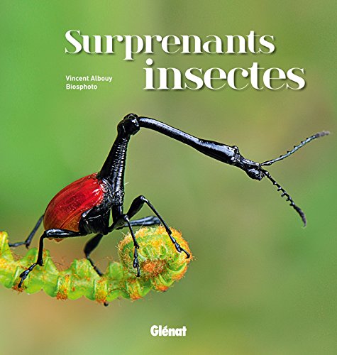 Stock image for Surprenants insectes for sale by Ammareal
