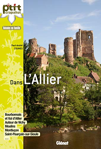 Beispielbild fr Dans l'Allier : Bourbonnais, Val d'Allier zum Verkauf von medimops
