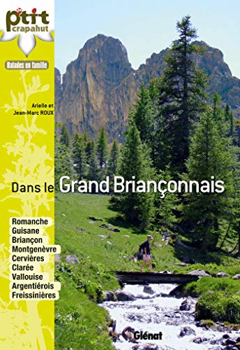 Stock image for Dans le grand Brianconnais for sale by medimops
