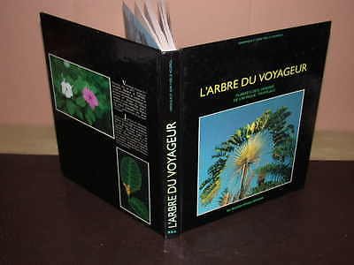 Stock image for L'arbre du voyageur. Plantes des jardins de l'Afrique tropicale for sale by medimops