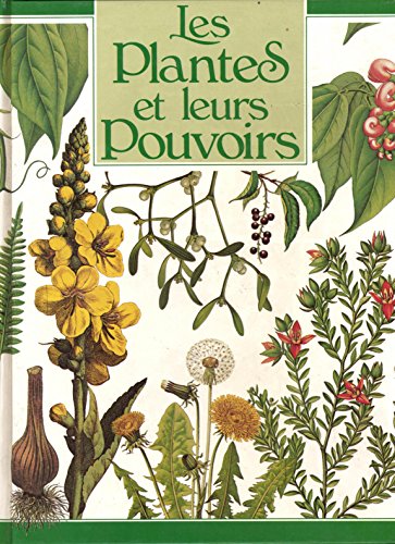 Stock image for Les plantes et leurs pouvoirs for sale by Ammareal