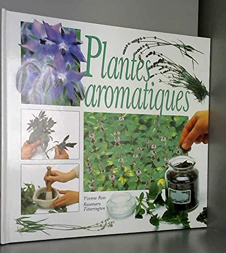 9782724295382: Plantes aromatiques