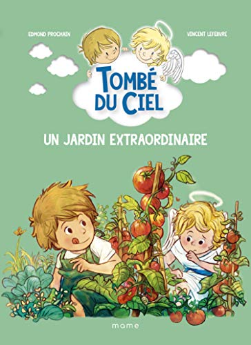 Beispielbild fr Tomb du ciel : Un jardin extraordinaire zum Verkauf von medimops
