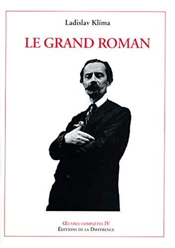 Imagen de archivo de Le grand roman a la venta por Gallix