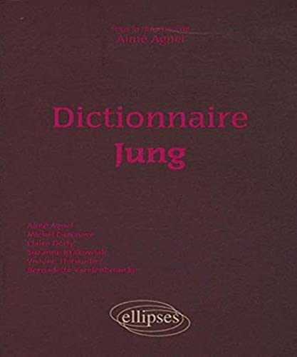 Beispielbild fr Dictionnaire Jung zum Verkauf von Revaluation Books